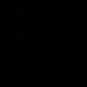 Meet your Posher, Krista